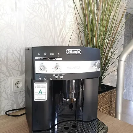 Waldoase Im Nationalpark Eifel Fuer 4 Personen Und Max 2 Hunde アパート *