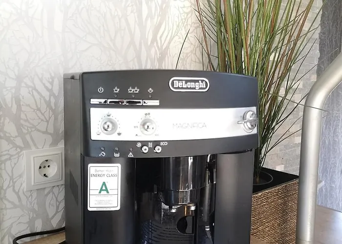 Waldoase Im Nationalpark Eifel Fuer 4 Personen Und Max 2 Hunde Διαμέρισμα *