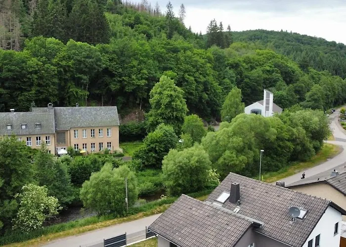 Waldoase Im Nationalpark Eifel Fuer 4 Personen Und Max 2 Hunde Appartement Schleiden