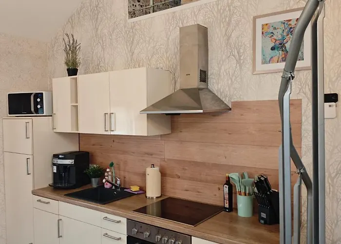 Διαμέρισμα Waldoase Im Nationalpark Eifel Fuer 4 Personen Und Max 2 Hunde